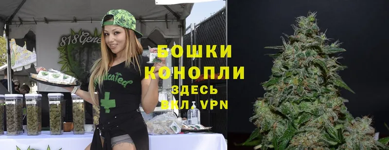 Бошки Шишки OG Kush  Дигора 